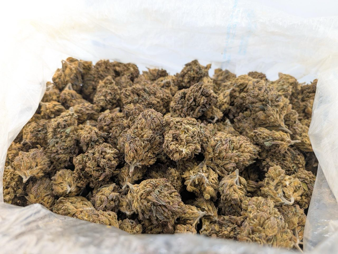 Bobby strain